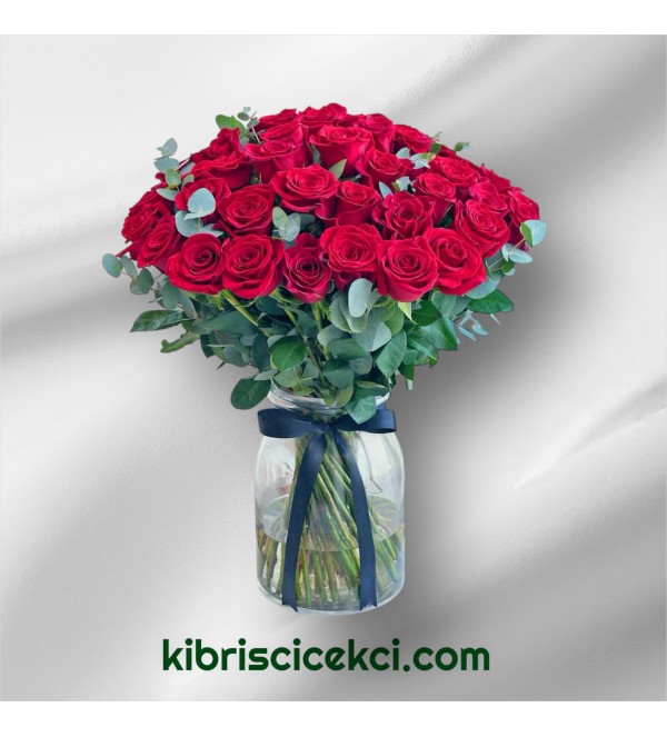 Vazoda 51 Kırmızı Gül